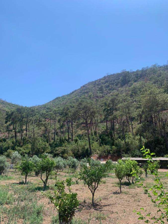 Doga Ciftlik Konaklama Marmaris Bagian luar foto