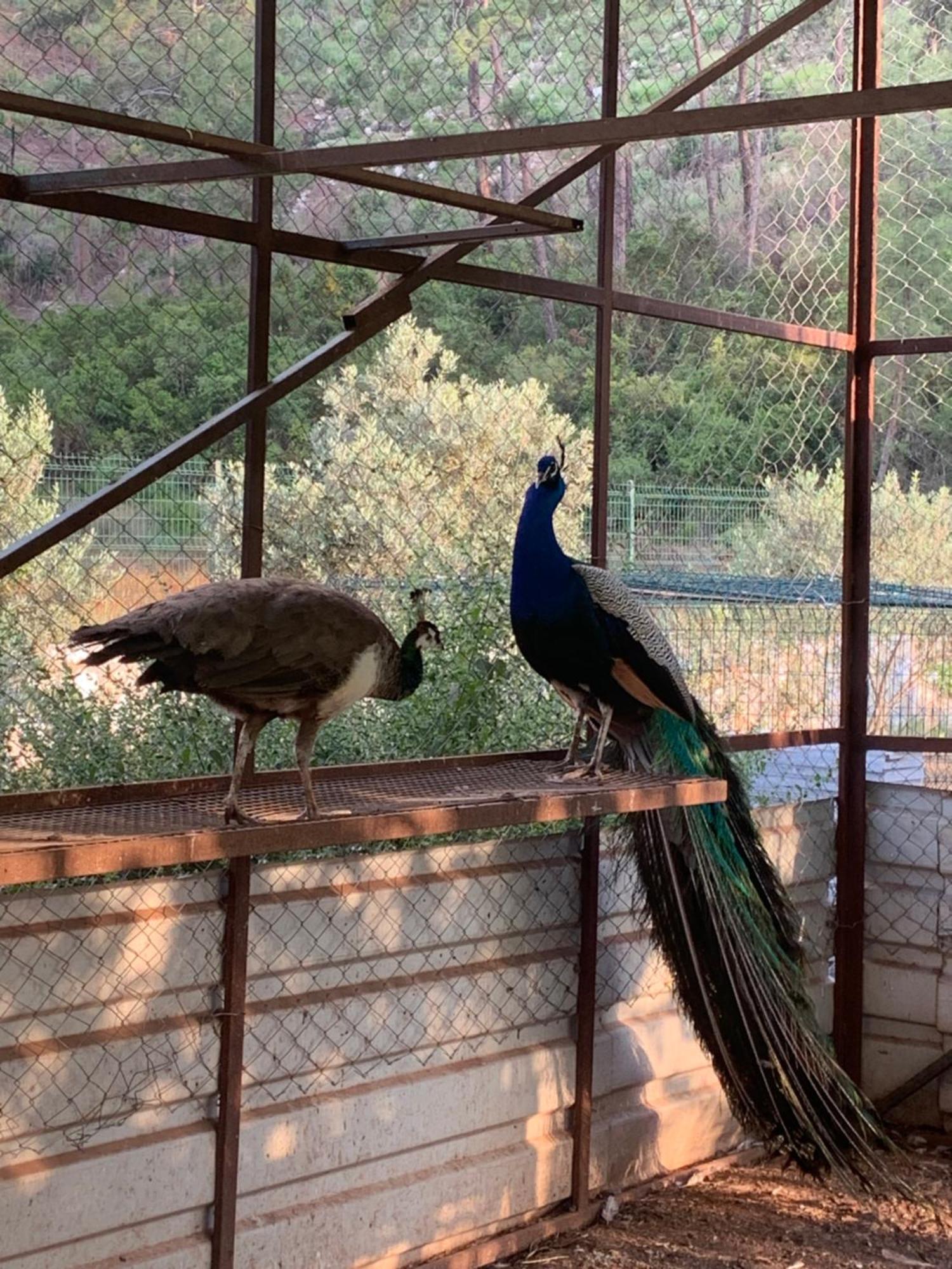Doga Ciftlik Konaklama Marmaris Bagian luar foto