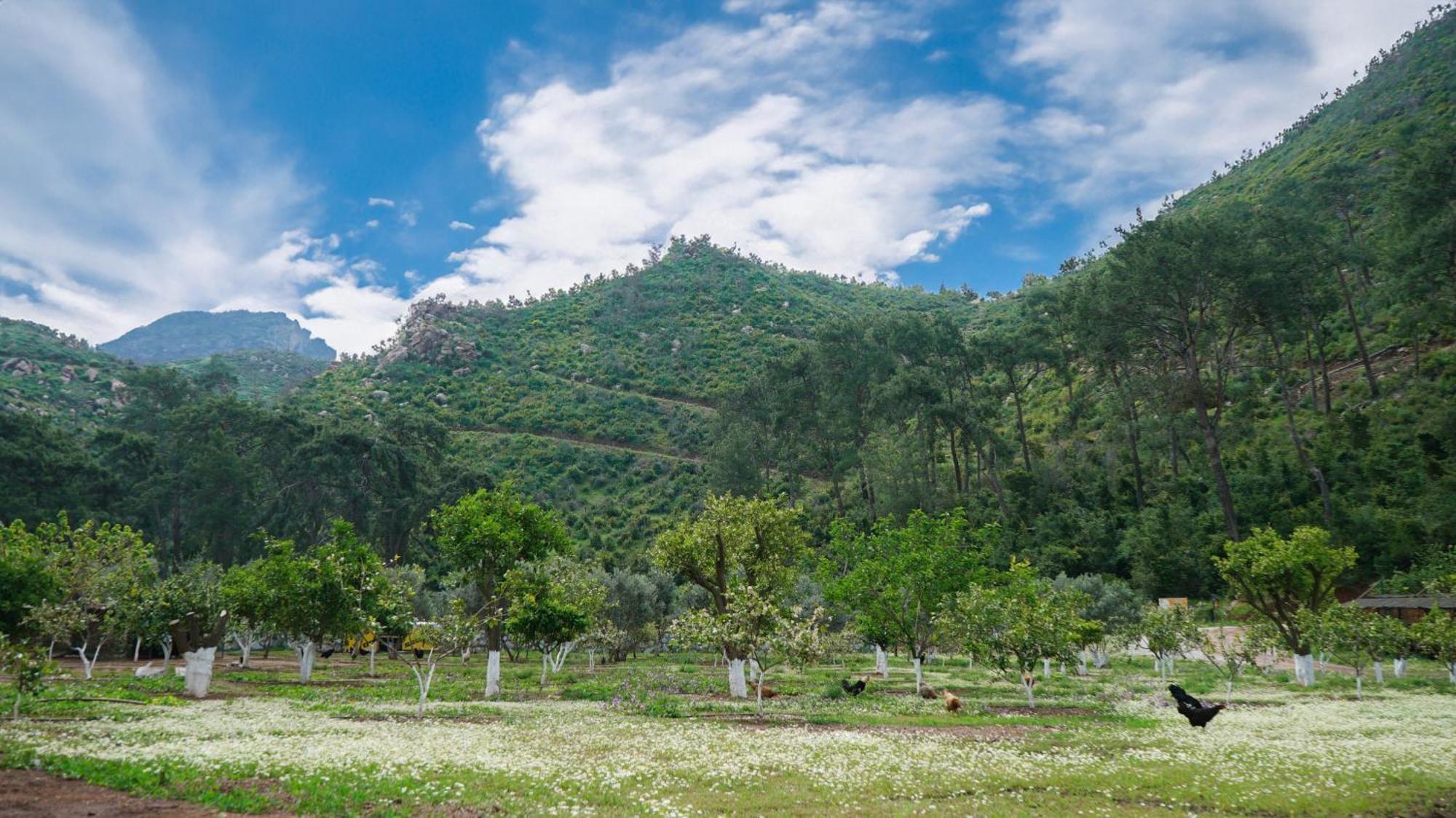Doga Ciftlik Konaklama Marmaris Bagian luar foto
